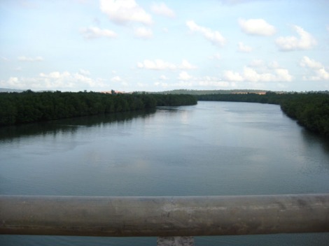 view dari atas jembatannya. bakau.. (´⌣`ʃƪ)